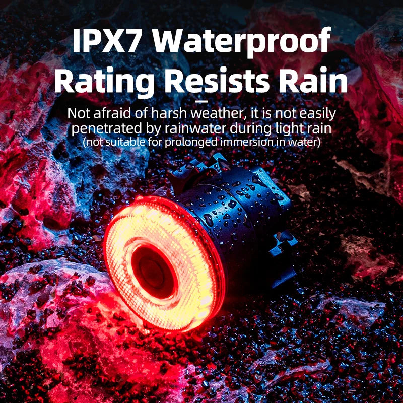 ROCKBROS Smart Bike Tail Light Bicycle Rear Lights IPX6 Waterproof Bike Lights for Night Riding with Type C Rechargeable