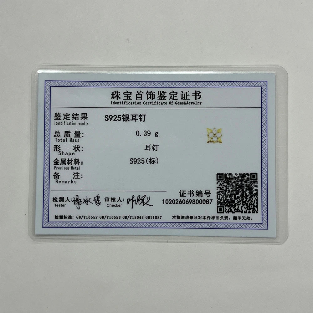 Aide 1pc 925 Sterling Silver Mini Zircon Thick Flat Screw Back Drop Earrings For Women K Gold Piercing Stud Earrings Jewelry